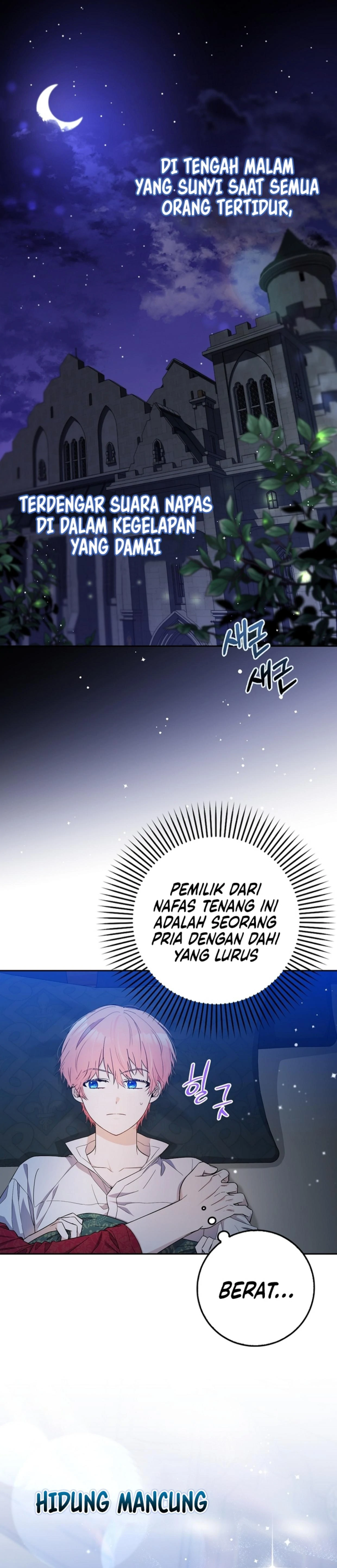 Beware of the Strongest Man Who is Crazy About Me Chapter 1 – halaman 2