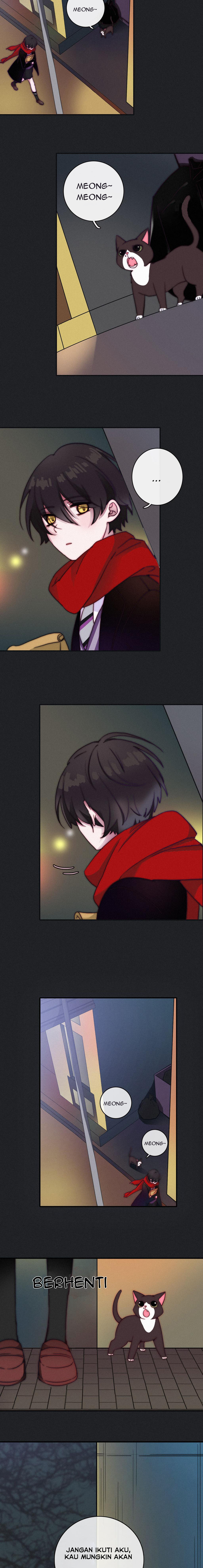 Fall in the Night With You Chapter 1 – halaman 9