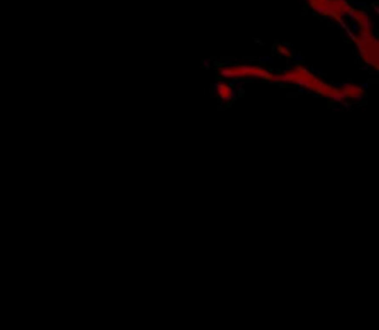 Who Killed Me Chapter 0 – halaman 51